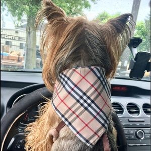 Fashionable  & elegant Plaid Pet Bandana🐾🐾🐾🐾🐾